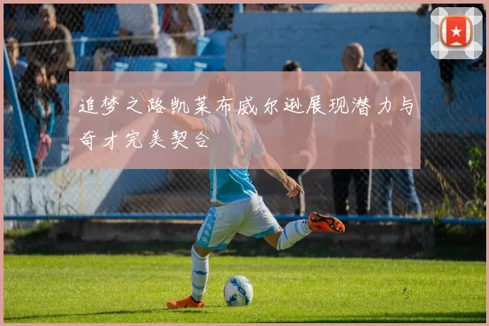 追梦之路凯莱布威尔逊展现潜力与奇才完美契合